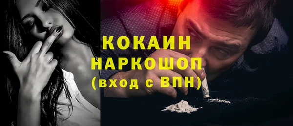 дживик Белокуриха