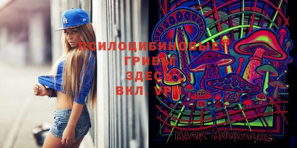 альфа пвп Богородицк