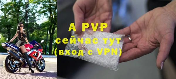 дживик Белокуриха