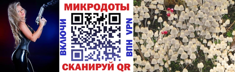 что такое наркотик  Борзя  Псилоцибиновые грибы Psilocybine cubensis 