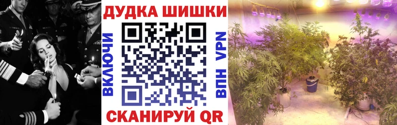 Бошки Шишки AK-47  Борзя 